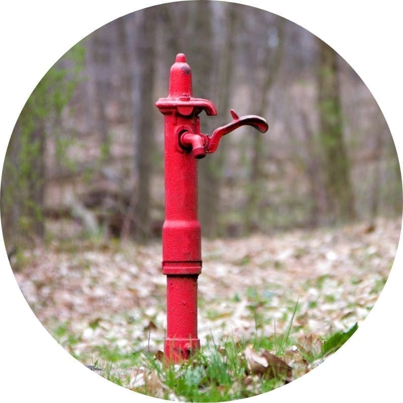 Red hand water pump in forest.